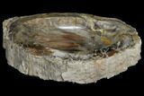 Colorful Polished Petrified Wood Bowl - Cyber Monday Deal #108199-1